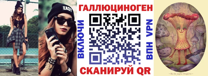 Галлюциногенные грибы Psilocybine cubensis  Калуга 